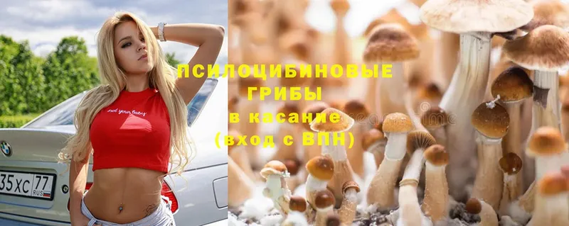 Галлюциногенные грибы Magic Shrooms Балахна